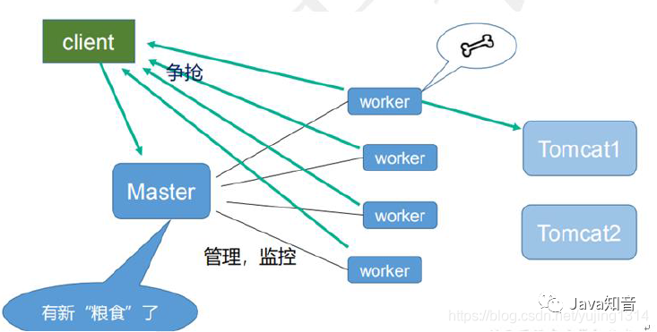 就是要让你搞懂Nginx，这篇就够了！